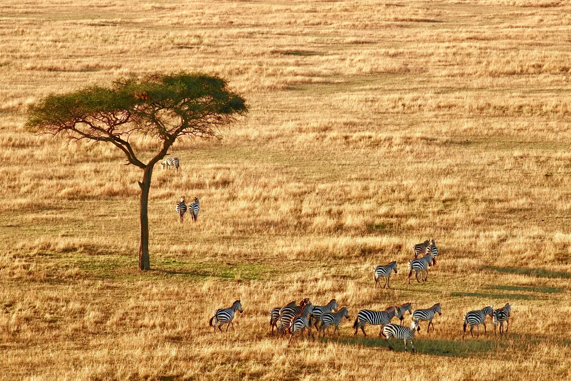 Serengeti National Park
