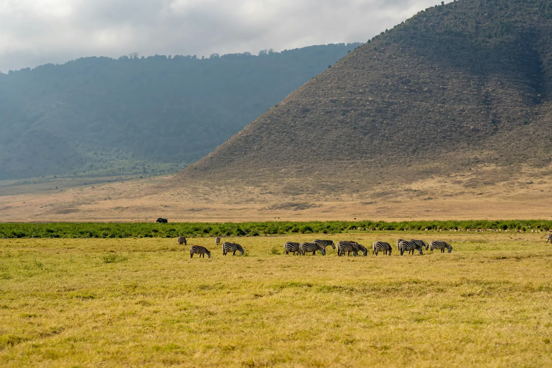 Nyorongoro Conservation Area
